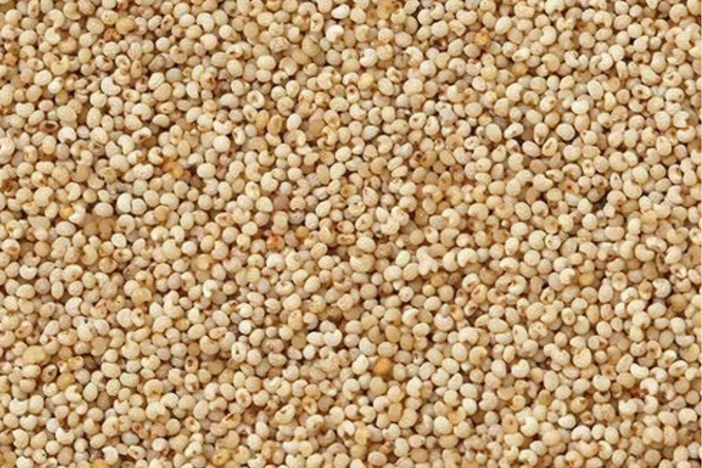 Khaskhas (Poppy Seeds)